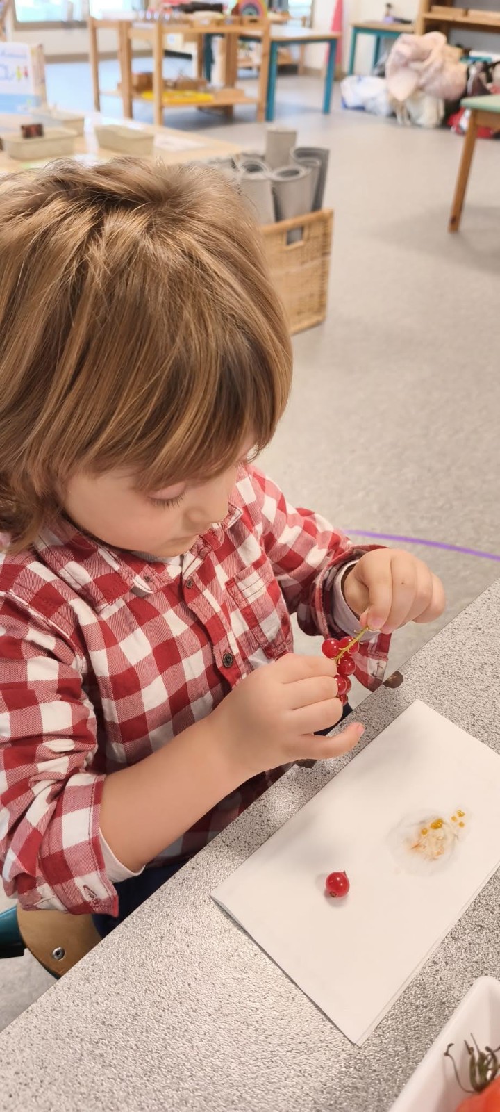 Semaine du goût 2025