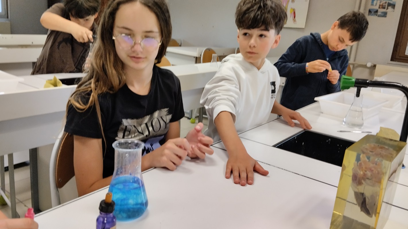 Club Sciences chocolat 2026