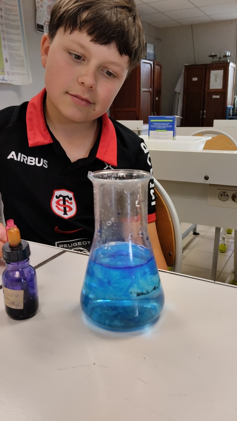 Club Sciences chocolat 2026