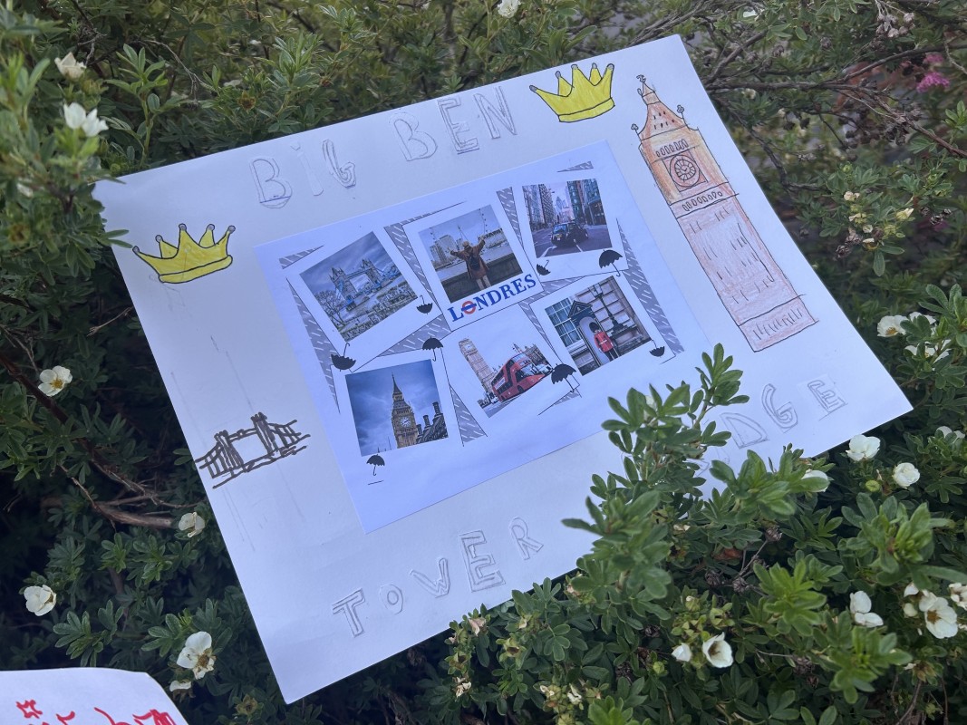 Projet Carnet de Voyage 2026