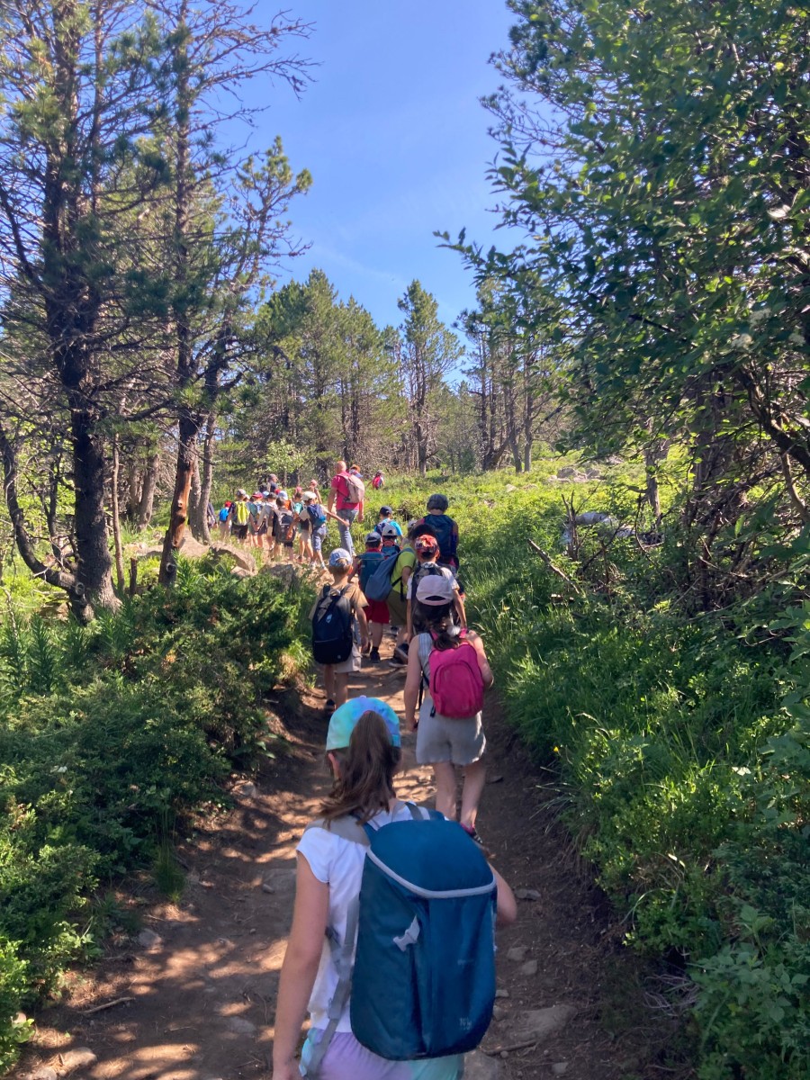 sortie ce1 juin 2025