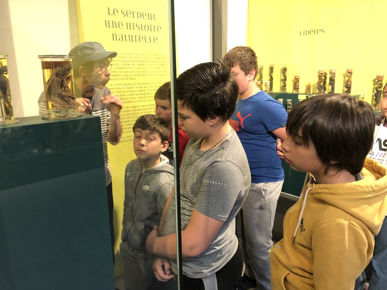 Les élèves découvrent l'expo des Serpents