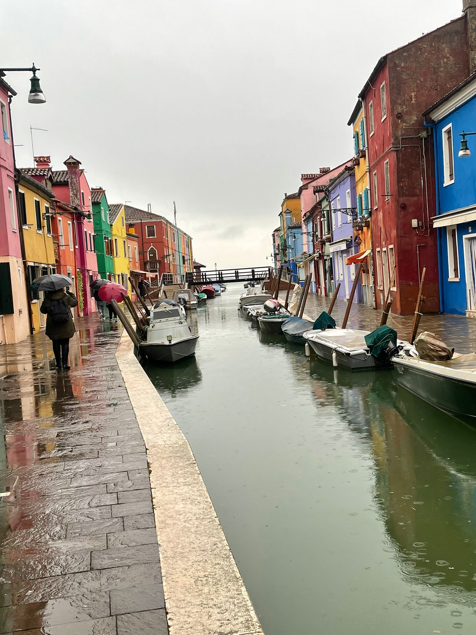 WhatsApp Image 2026-02-04 at 20.25.19.