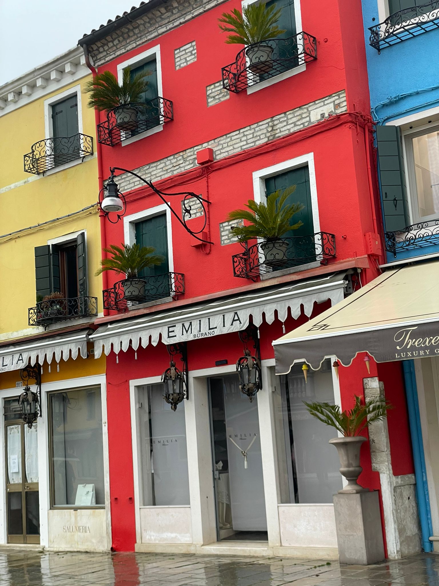 WhatsApp Image 2026-02-04 at 20.25.20.